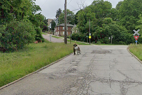谷歌街景照片显示男子疑似运送尸体